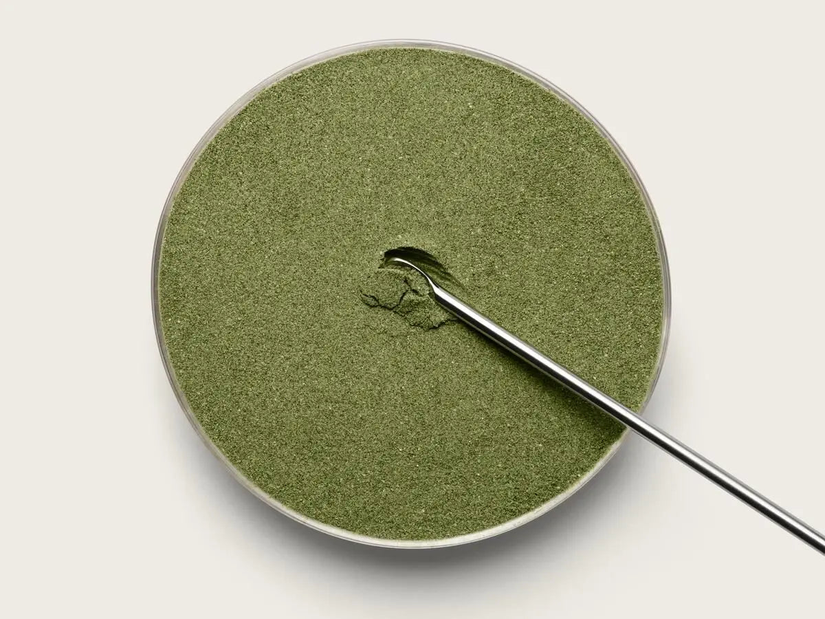 Greens Superfood