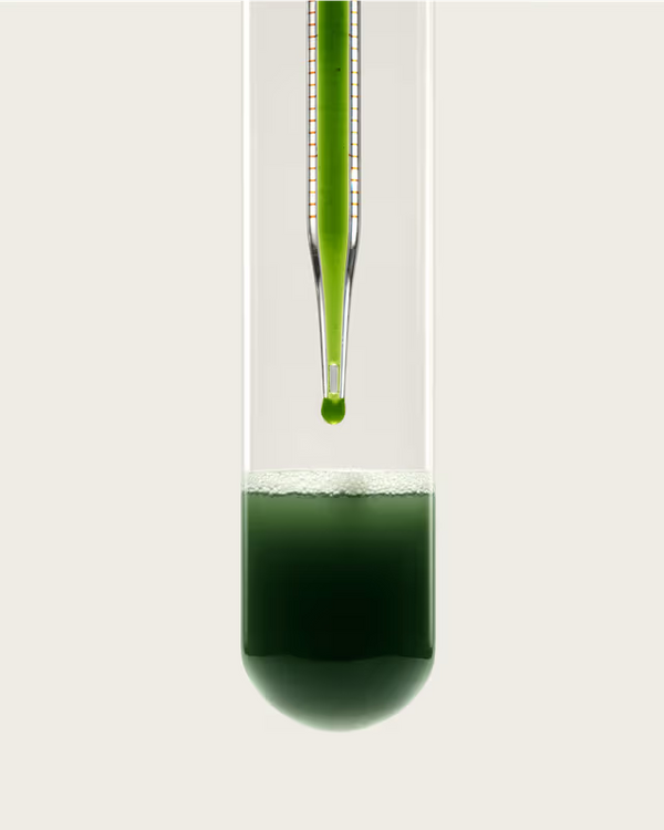 Greens Superfood
